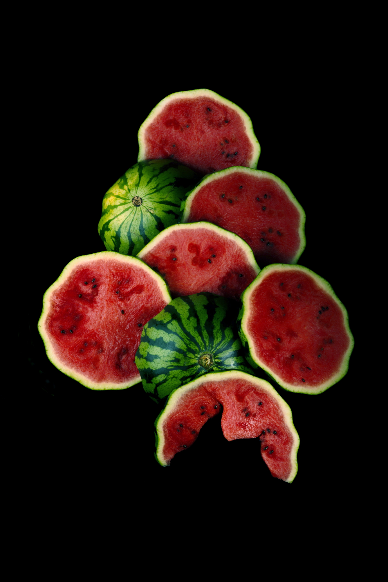 oeuf libellule%20copie